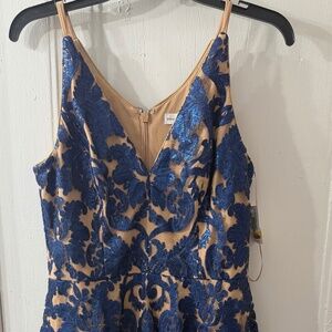 Beautiful Blue/Nude Party Dress - NWT